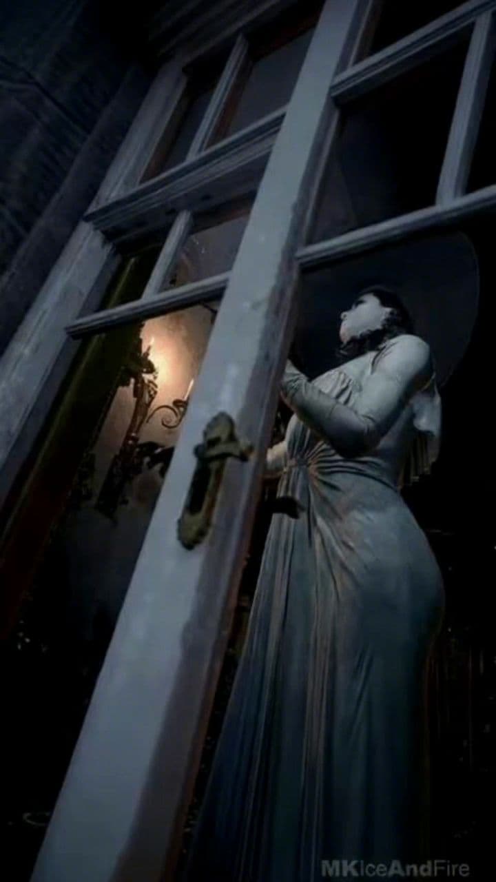 Image transform video