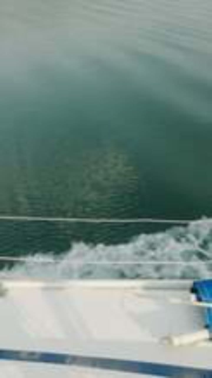 Capodanno sul Mare 2026 a Recco