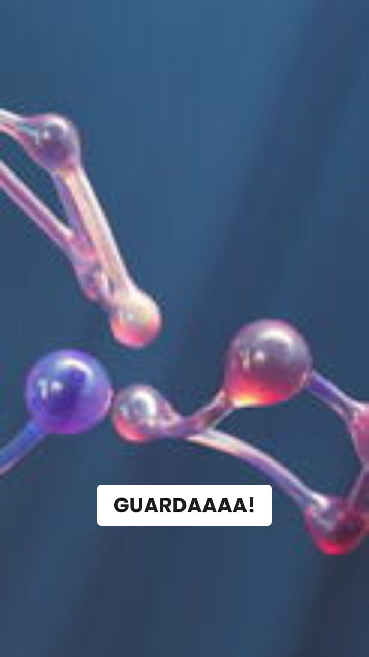 OrsoBici: La Pazzia Ciclistica!