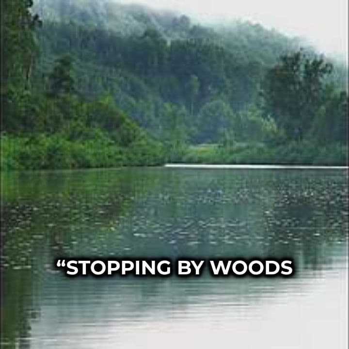 C3 GW1 U19-23 Stopping by Woods on a Snowy Evening by Robert Frost