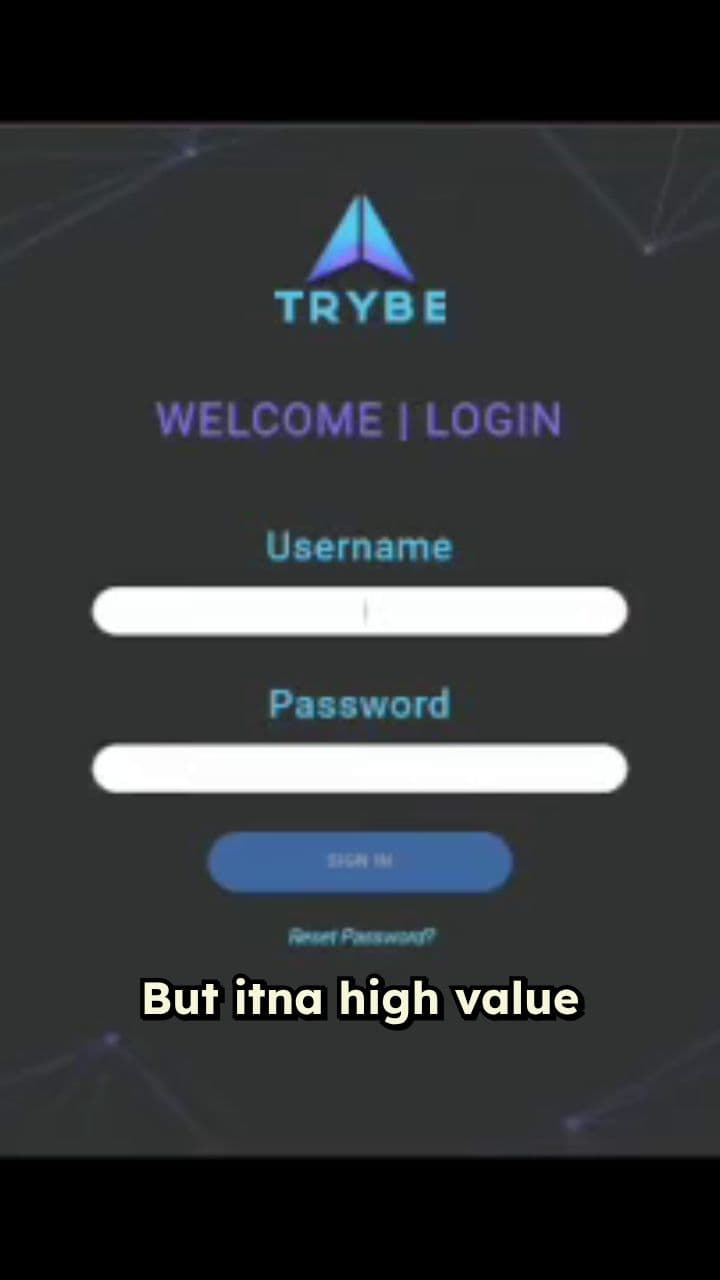 Dynamic Controls for High-Precision Businesses