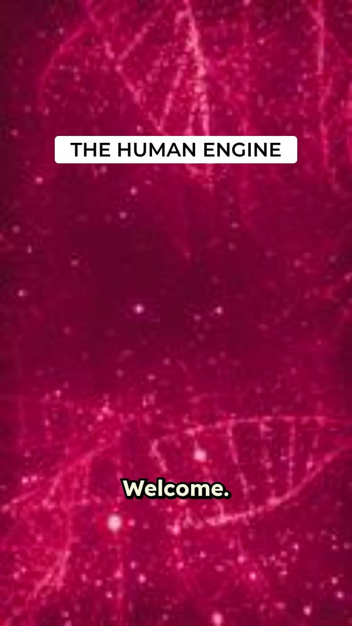 The Incredible Human Machine