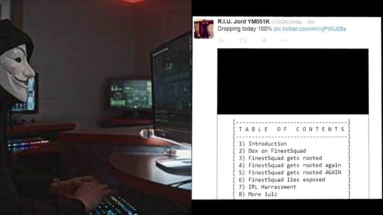 The Rise and Fall of Lizard Squad