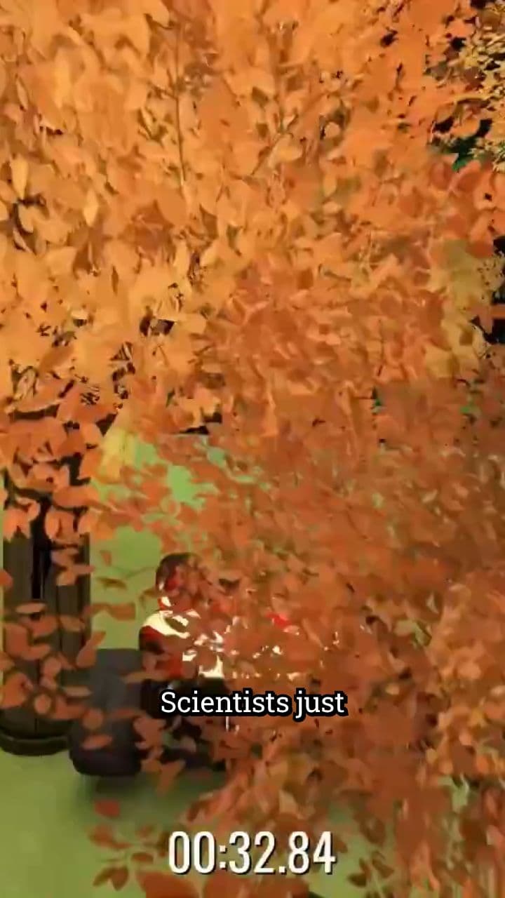 Plants Can Hear and Respond to Damage