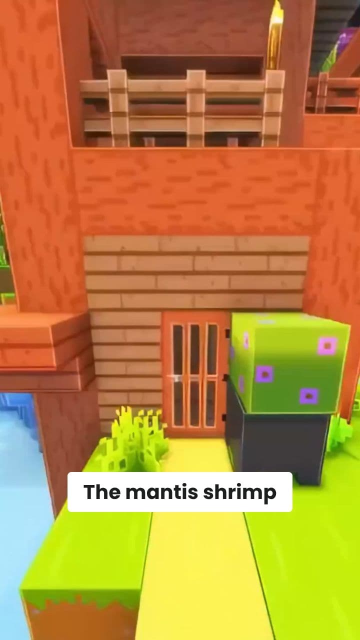 Mantis Shrimp: Nature's Ultimate Striker