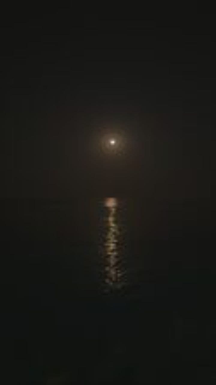 Calm beneath the patient moon.