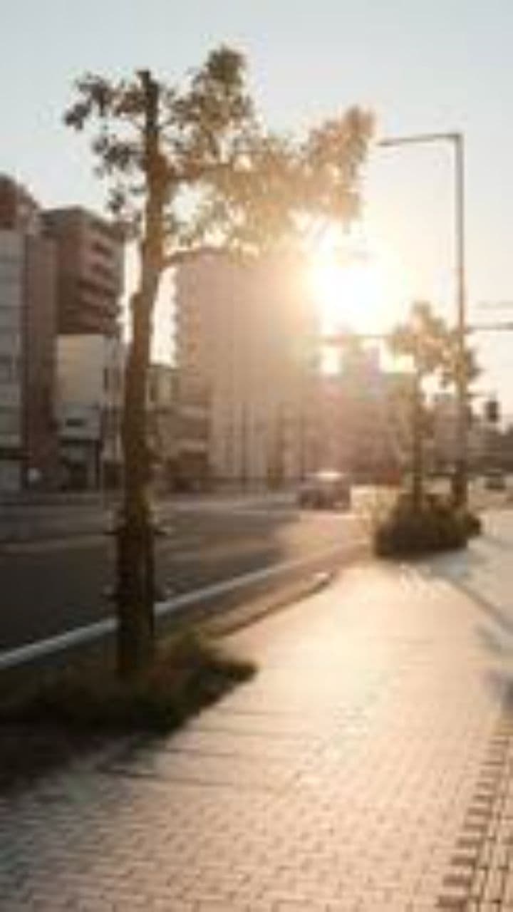 Dreamy California West Coast Aesthetic