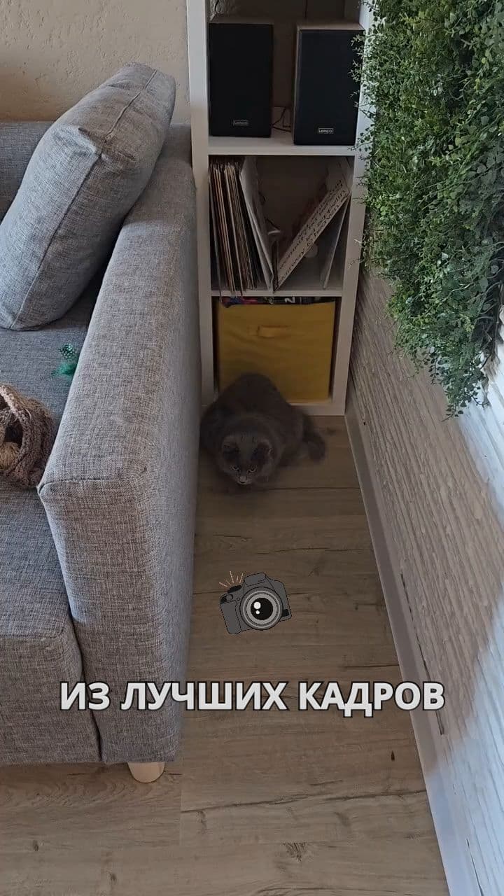 Музыкальный клип из лучших кадров