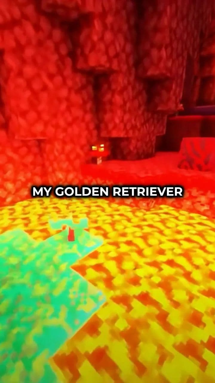 Golden Retriever Saves Three Kids