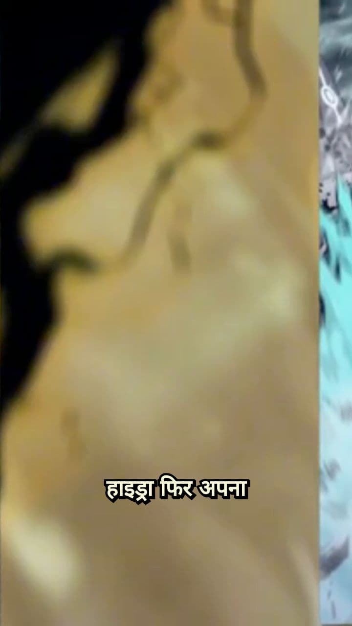 The Hero's Unstoppable Power