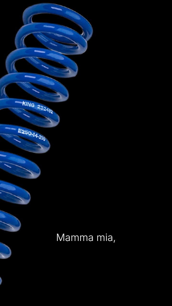 Mollino's Absurd Adventure