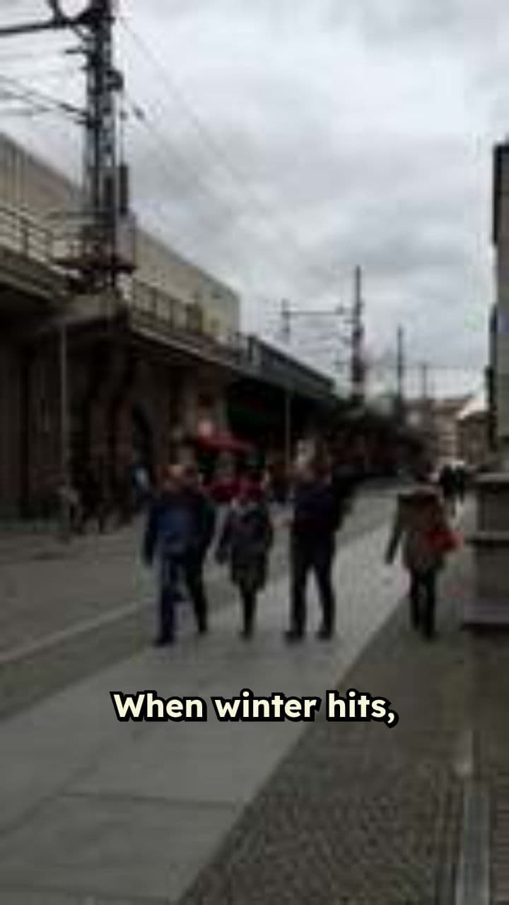 Boost Your Vitamin D This Winter