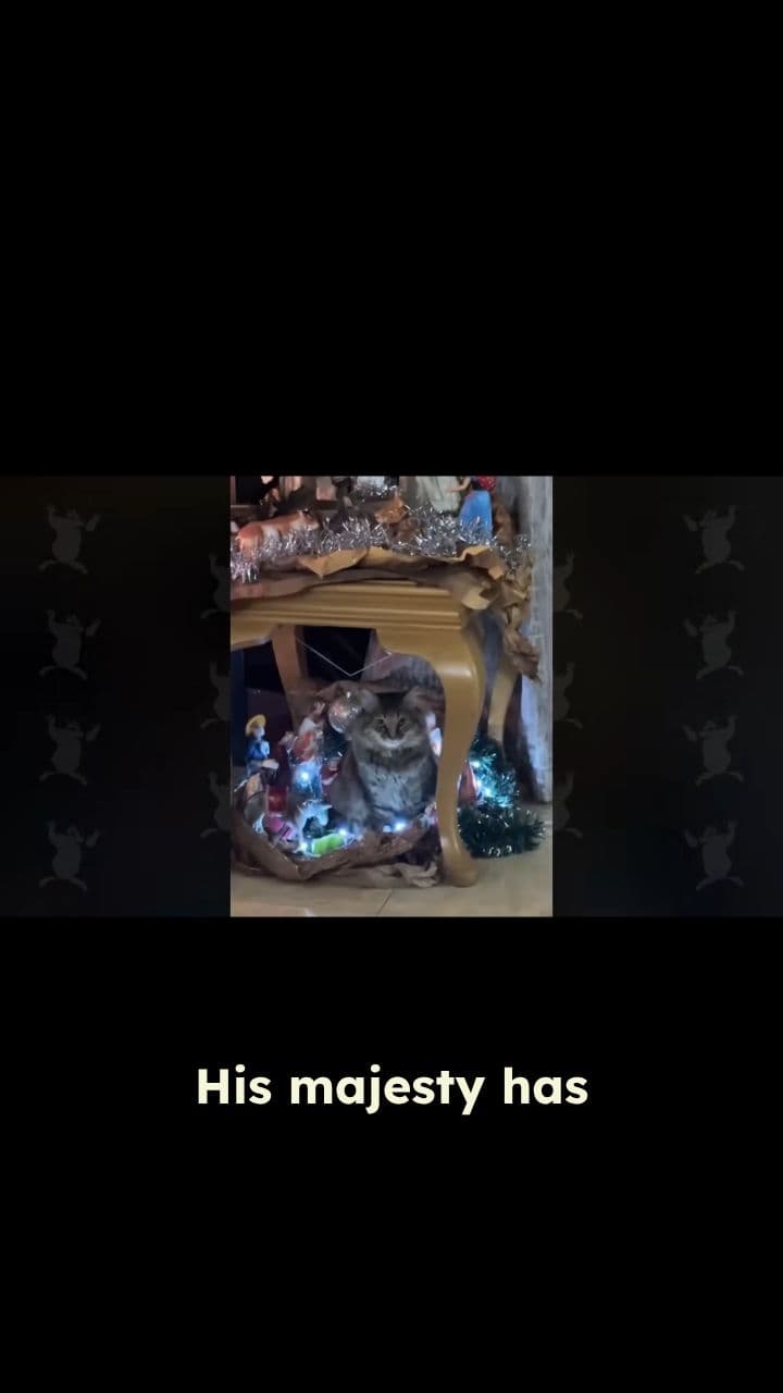 His Majesty Takes Over the Nativity Scene