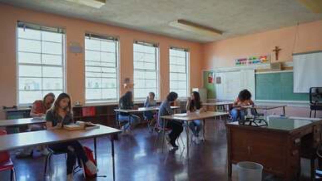 Classroom Interaction and Engagement