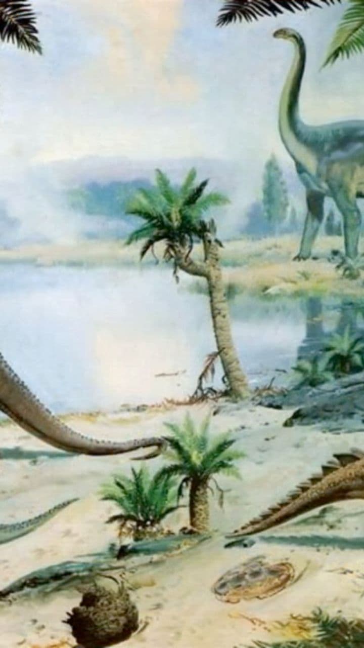 İmkansız Bir Yolculuk: 252 Milyon Yıl Öncesi