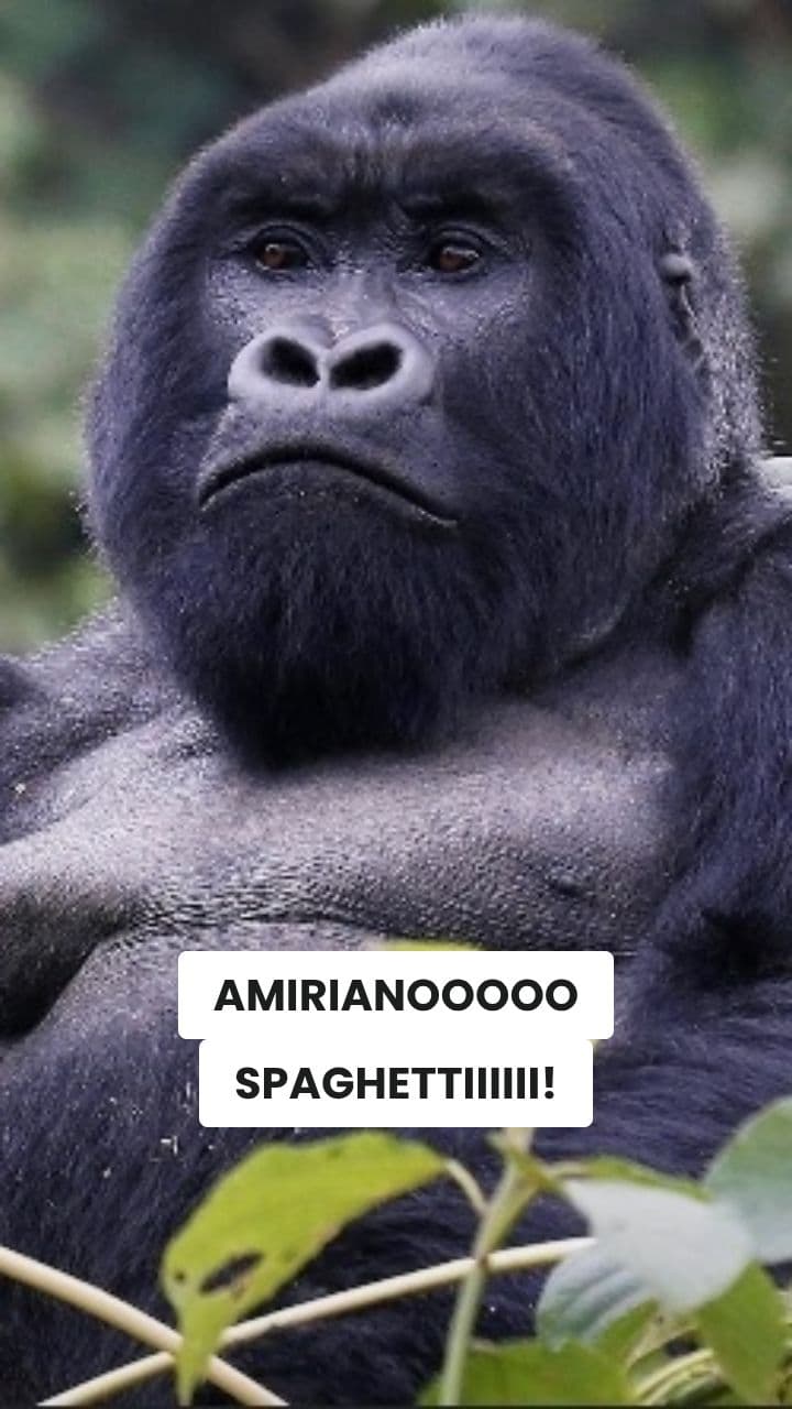 La Rivolta del Gorillus-Sushi