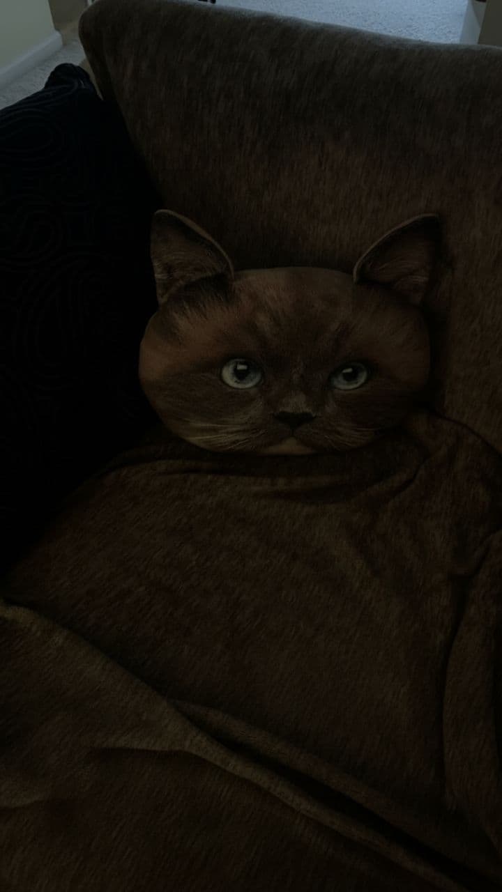 The Bloodthirsty Plush