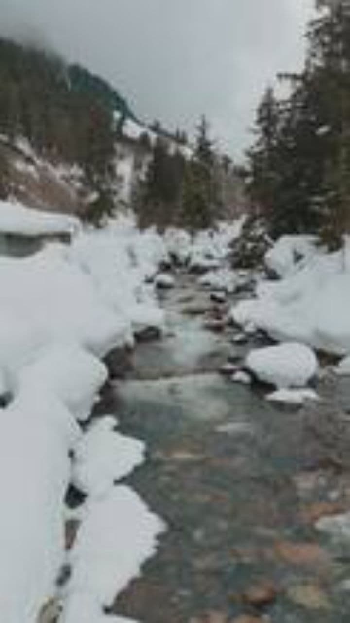 Лаишево: Мой свет и дом