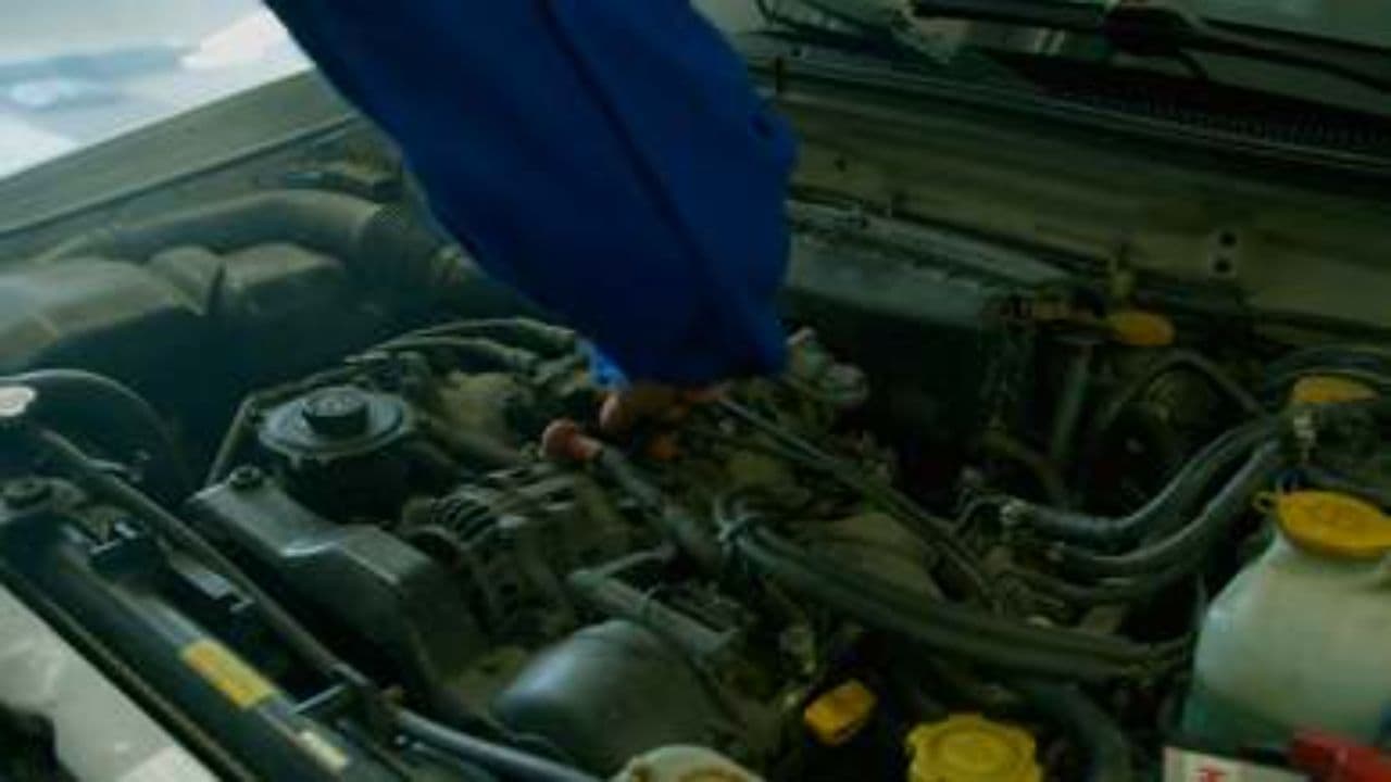 Passione e Professionalità al Lavoro