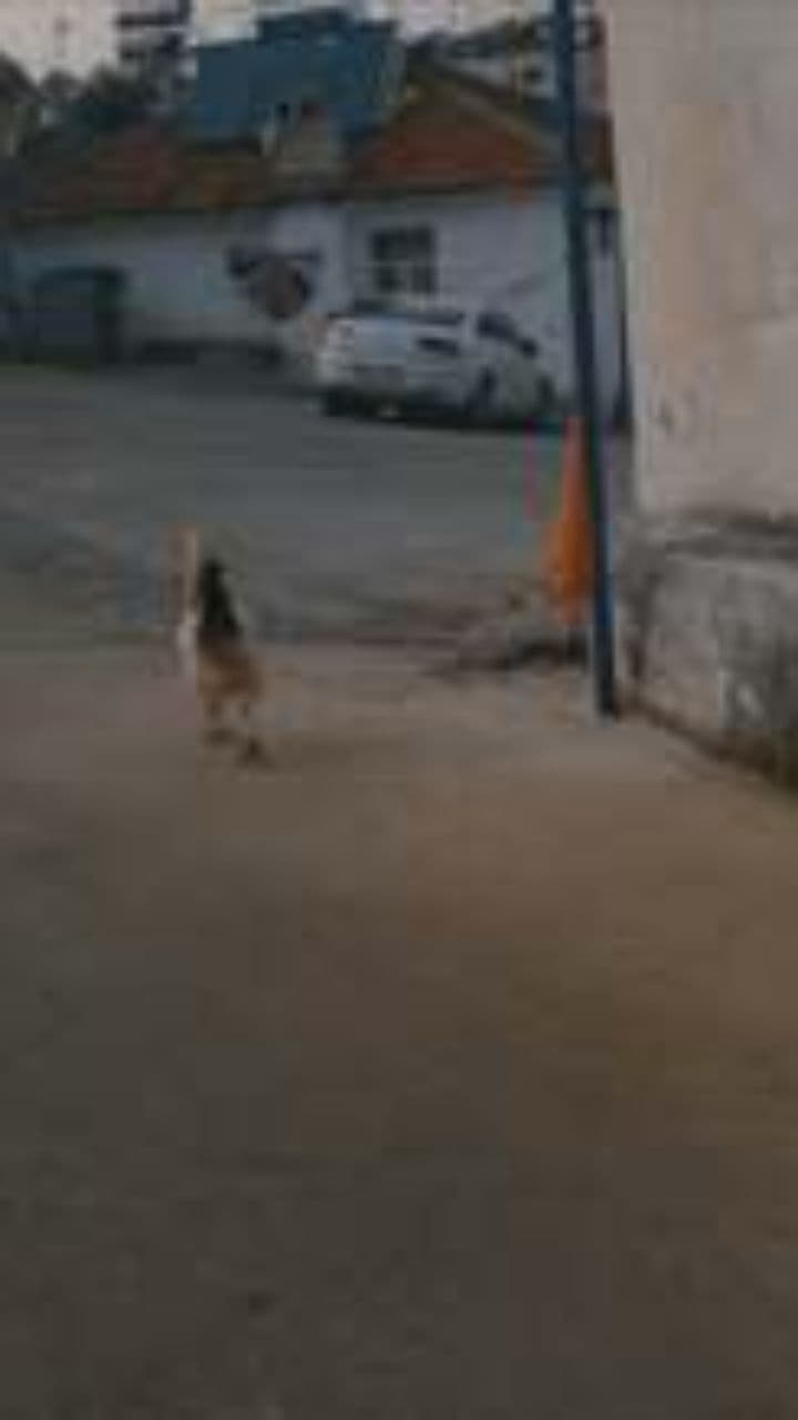 Улица Сезам: Образование и спомени