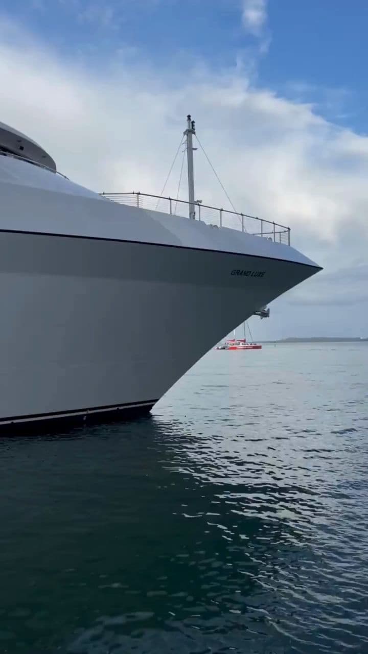 Gana dinero fácil con videos diarios