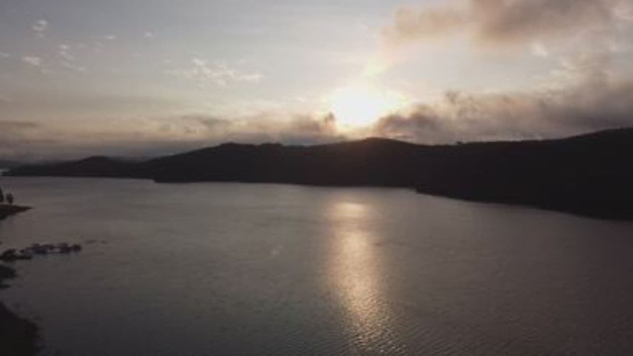 One Big Family Today