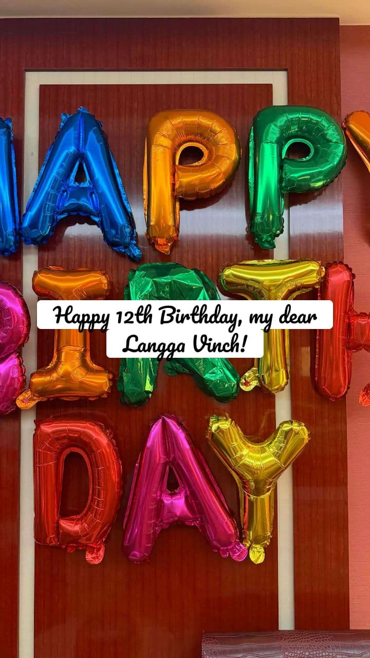 Happy 12th Birthday, Langga Vinch!