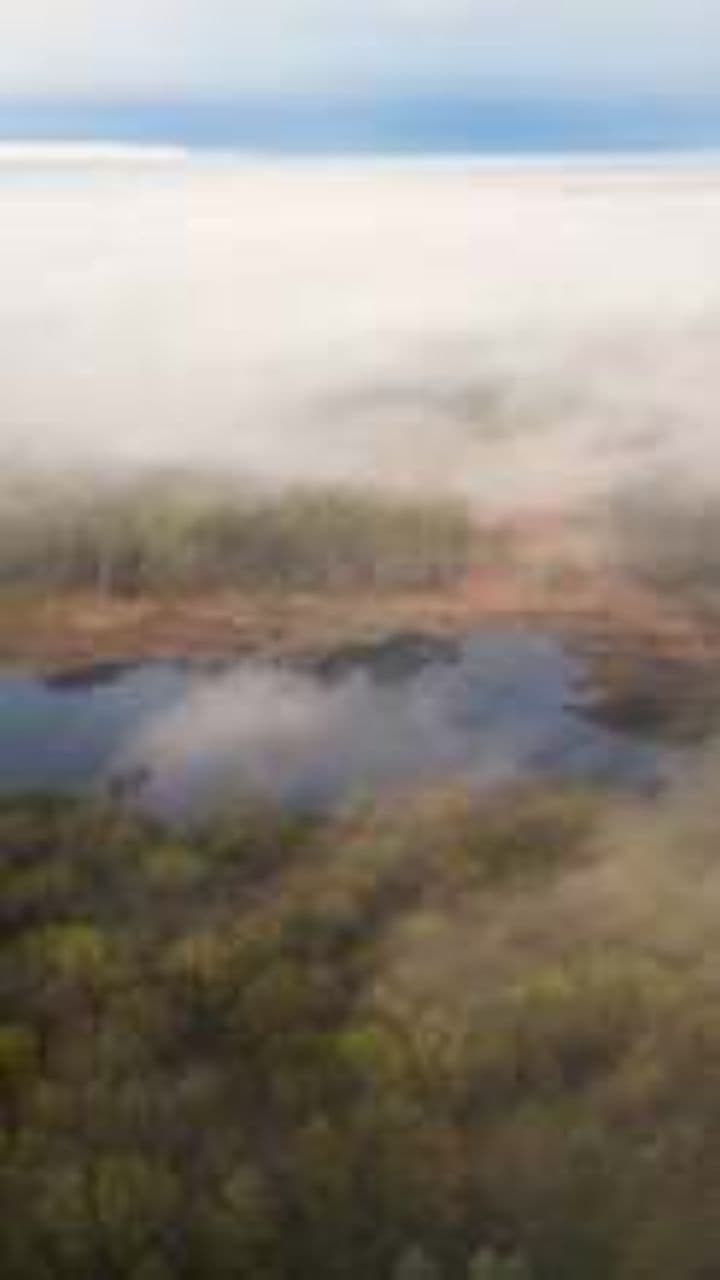 California Morning Reflection