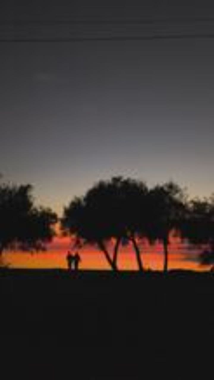 On dansera toute la nuit