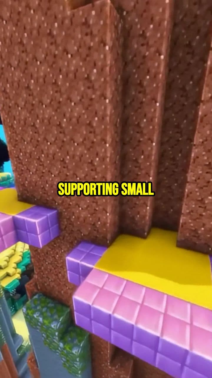 How Supporting Small YouTubers Changes Lives