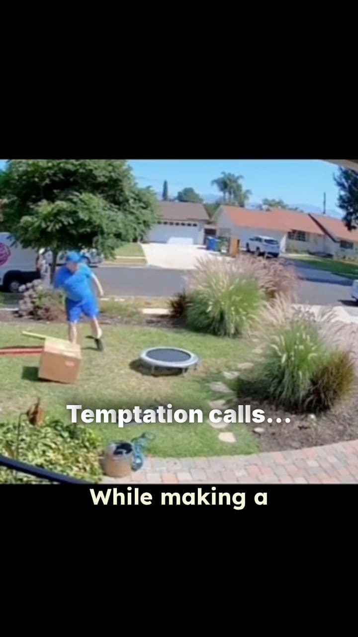 Delivery Driver Spots Something Unusual in Yard