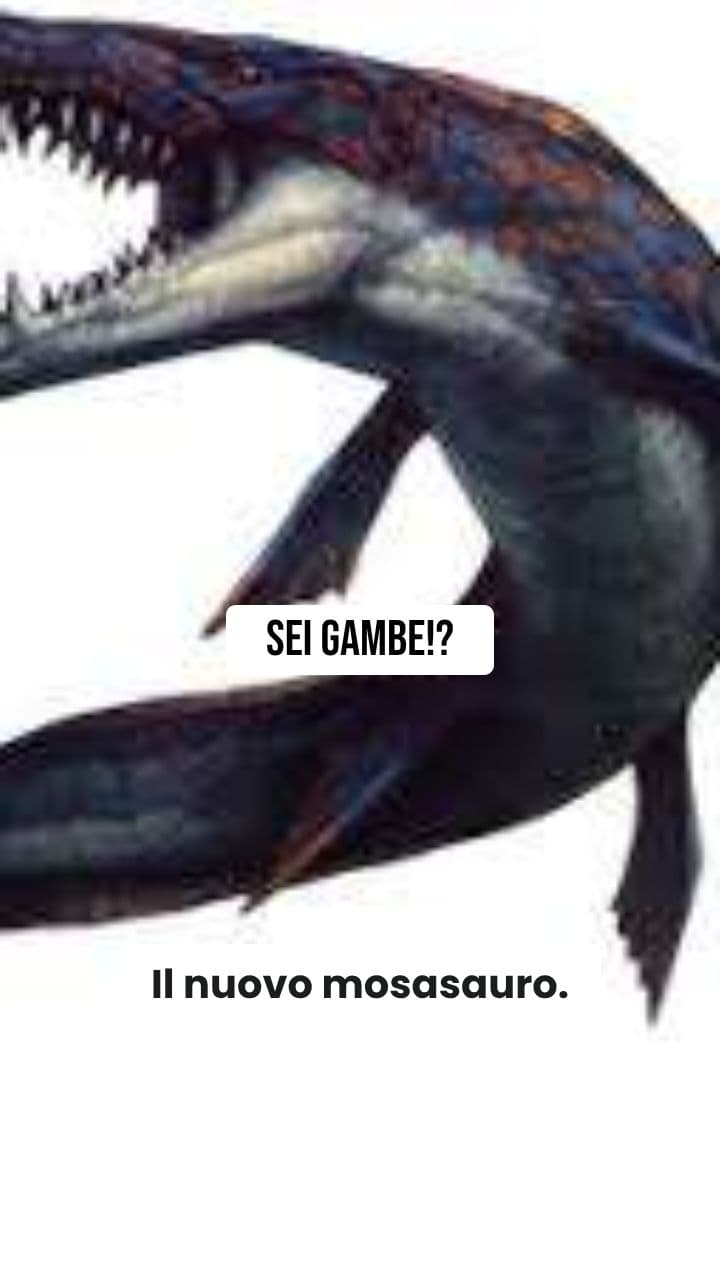 Mosasauro a Sei Gambe: L'Assurdo Italiano