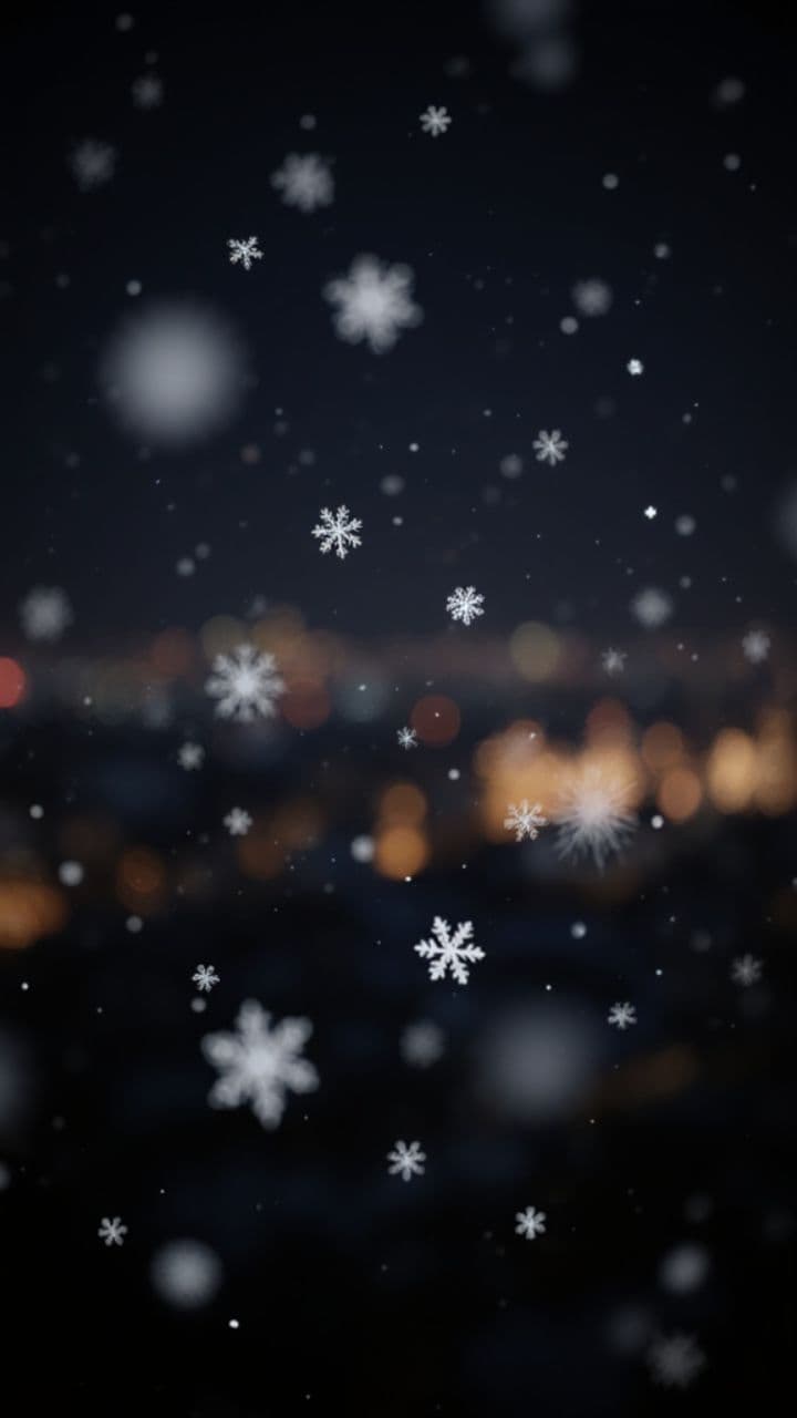 München leuchtet zur Weihnachtszeit