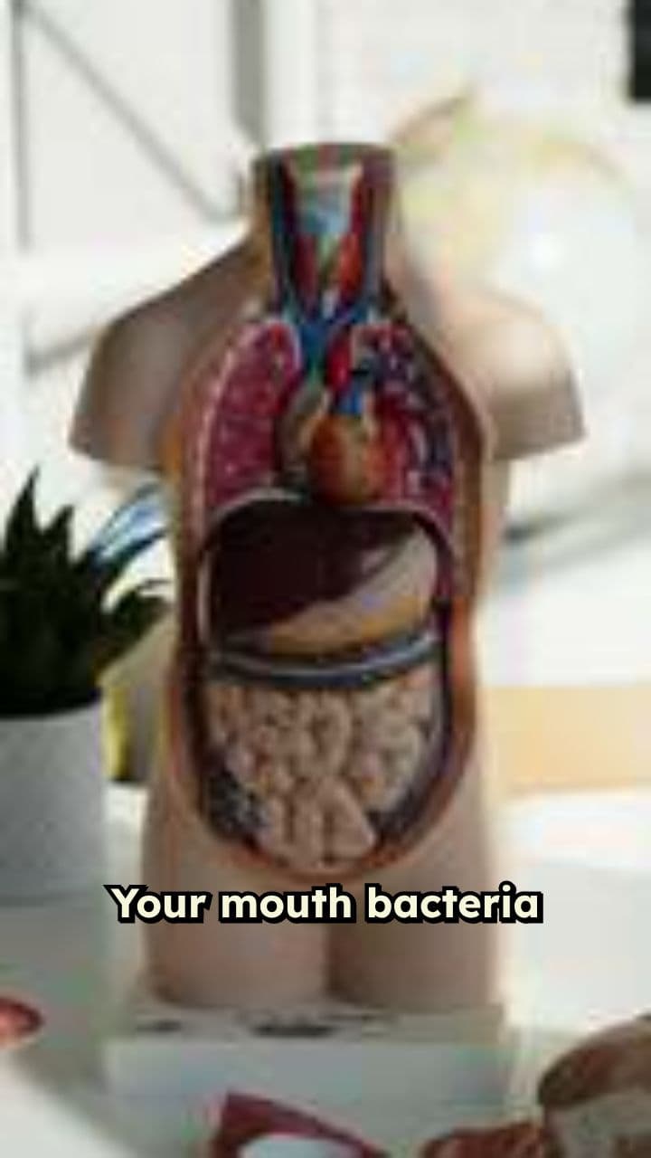 Oral Bacteria Can Harm Your Heart