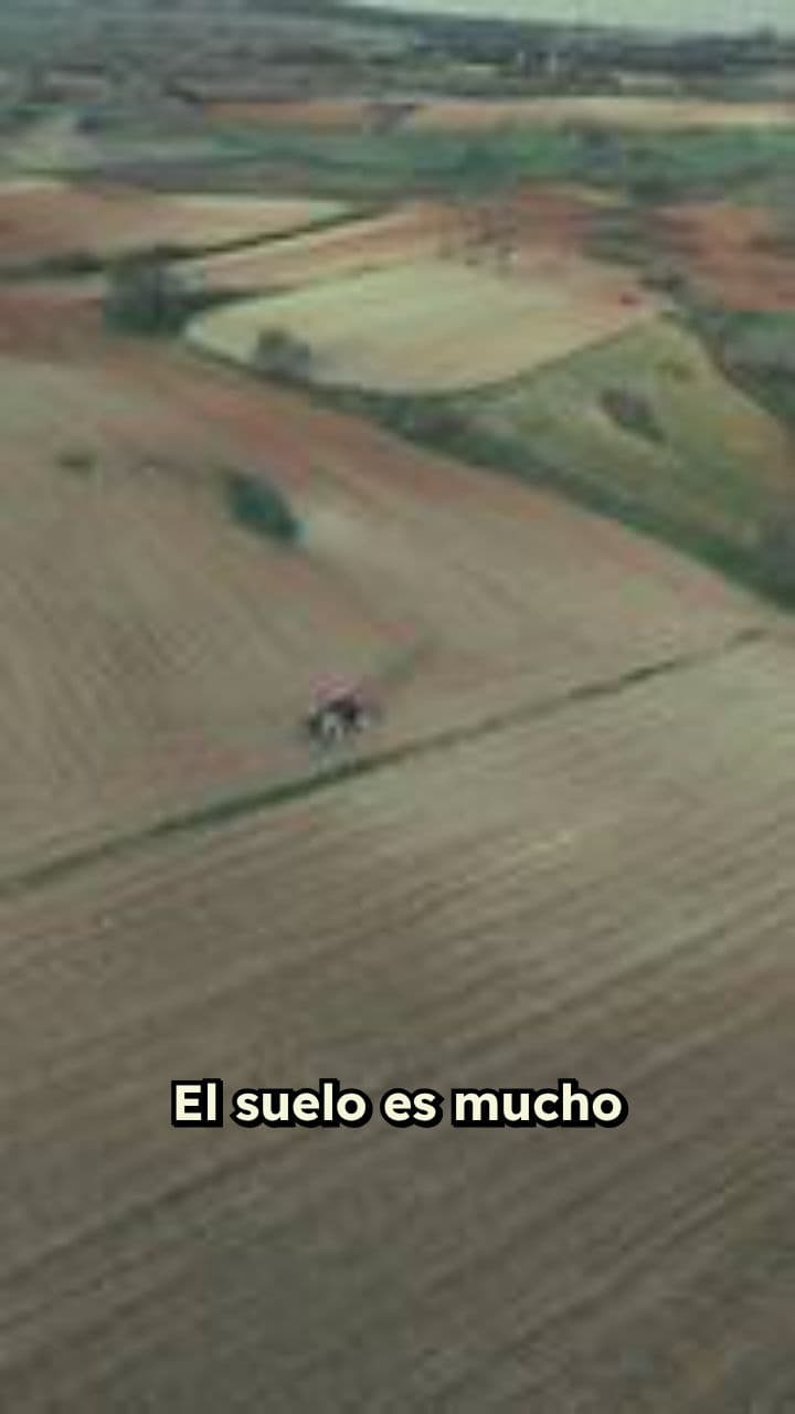 Tipos de Suelo y su Importancia