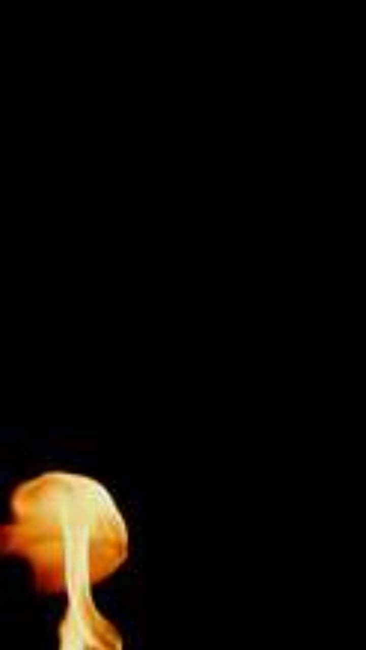 Renacer en Fuego y Luz