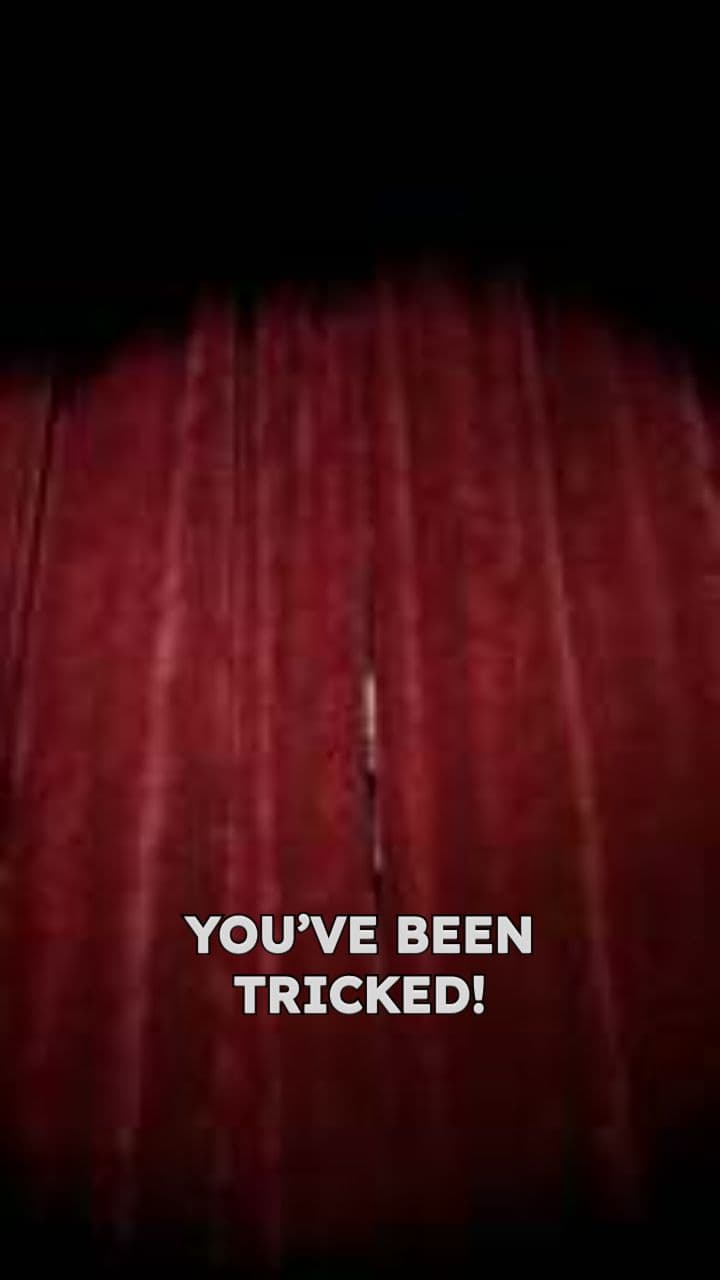 Pikachu's Tail: The Black Tip Myth