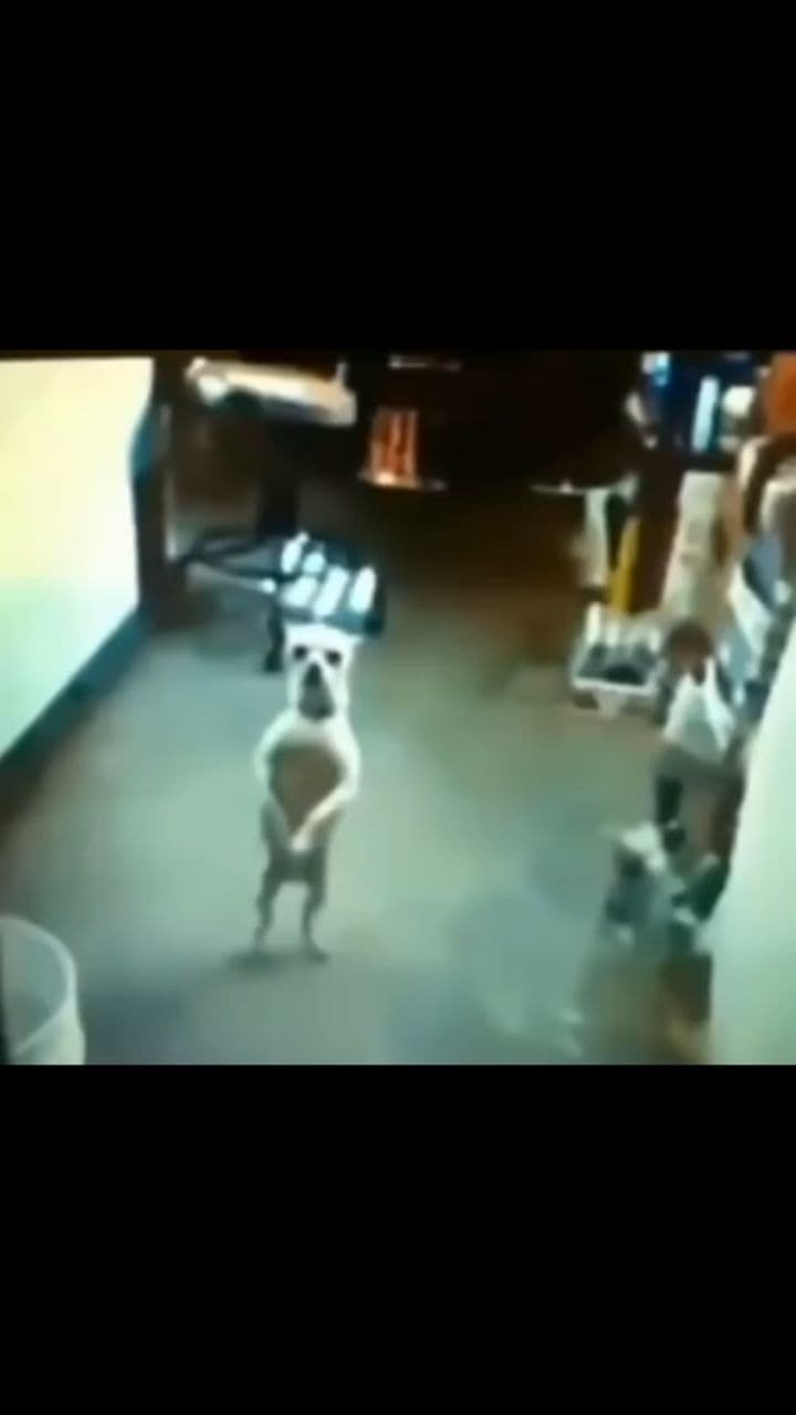 Future English Conversations