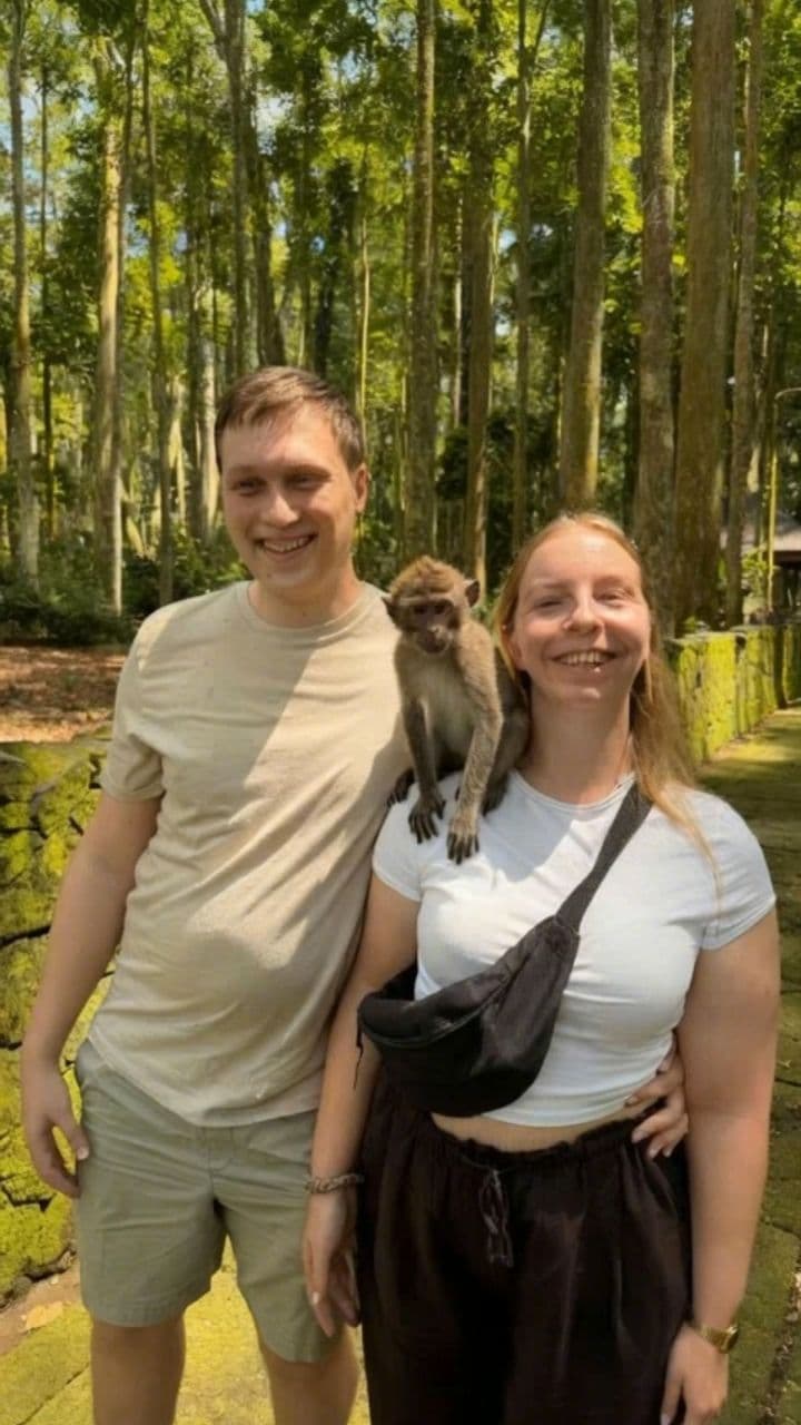 Image transform video