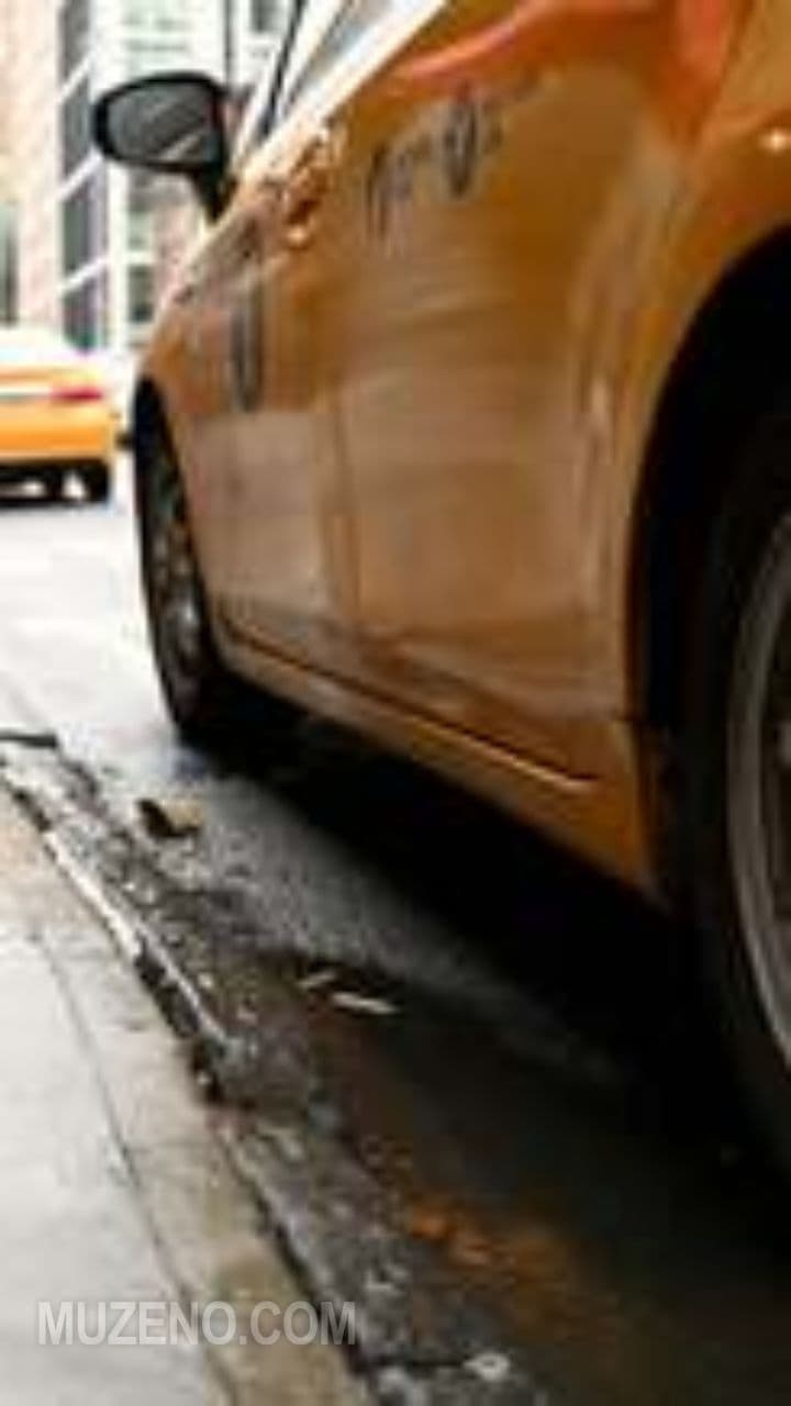 Backseat Philosopher 