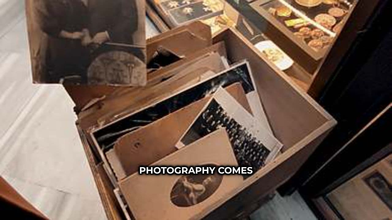 Capturing Life Through Photography