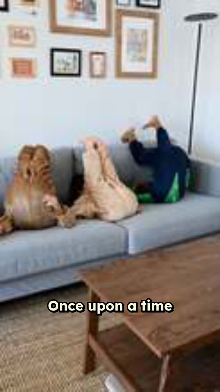 Mario and Donnet's Adventure