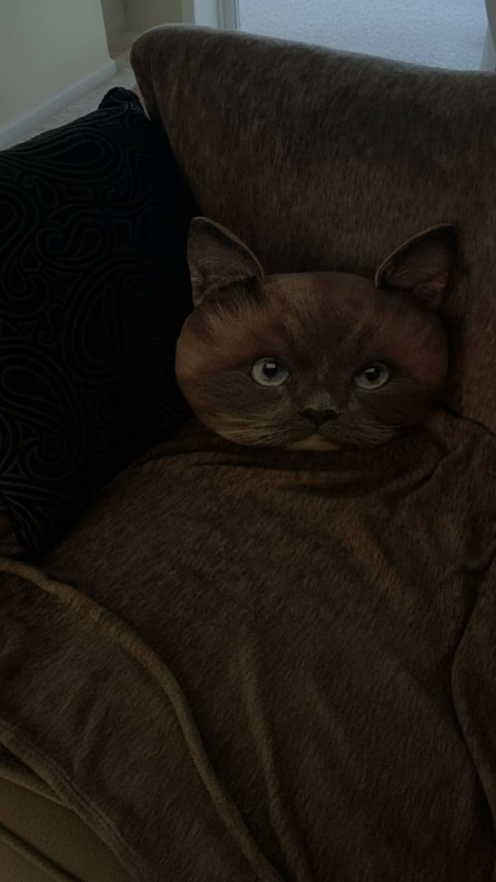 The Cursed Cat Pillow