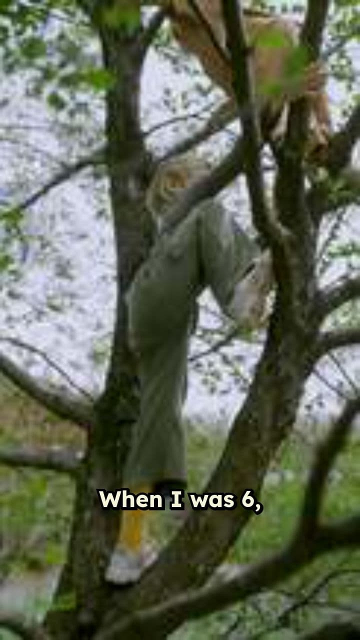 Nightmare in Montana