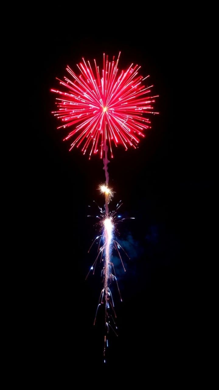 A Breathtaking Fireworks Display