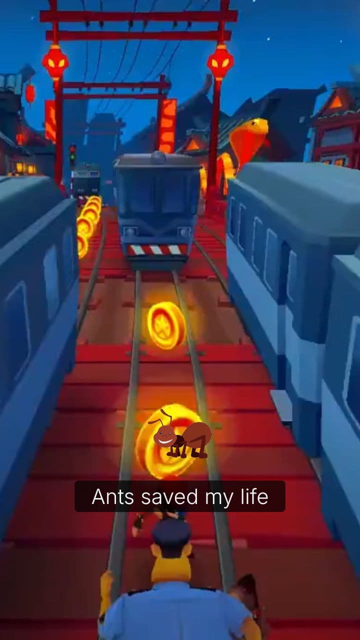 Nature's Warning: Ants Saved My Life