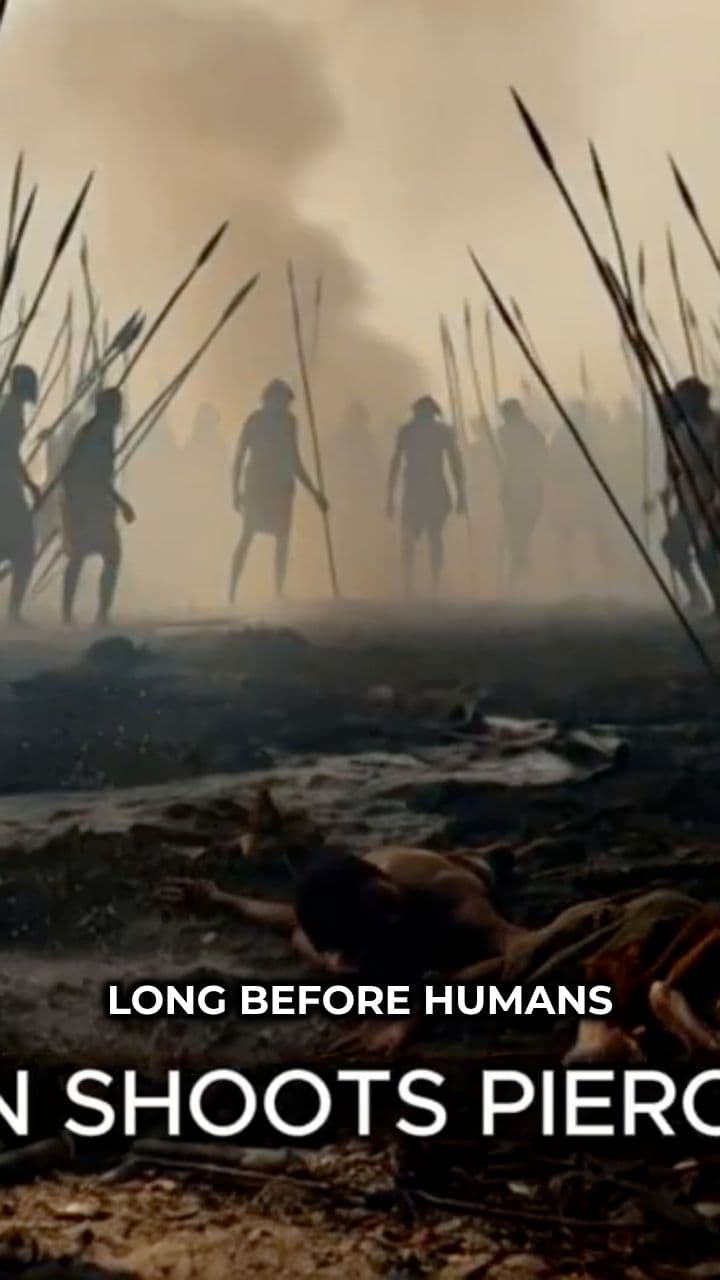 The End of the Dinosaurs