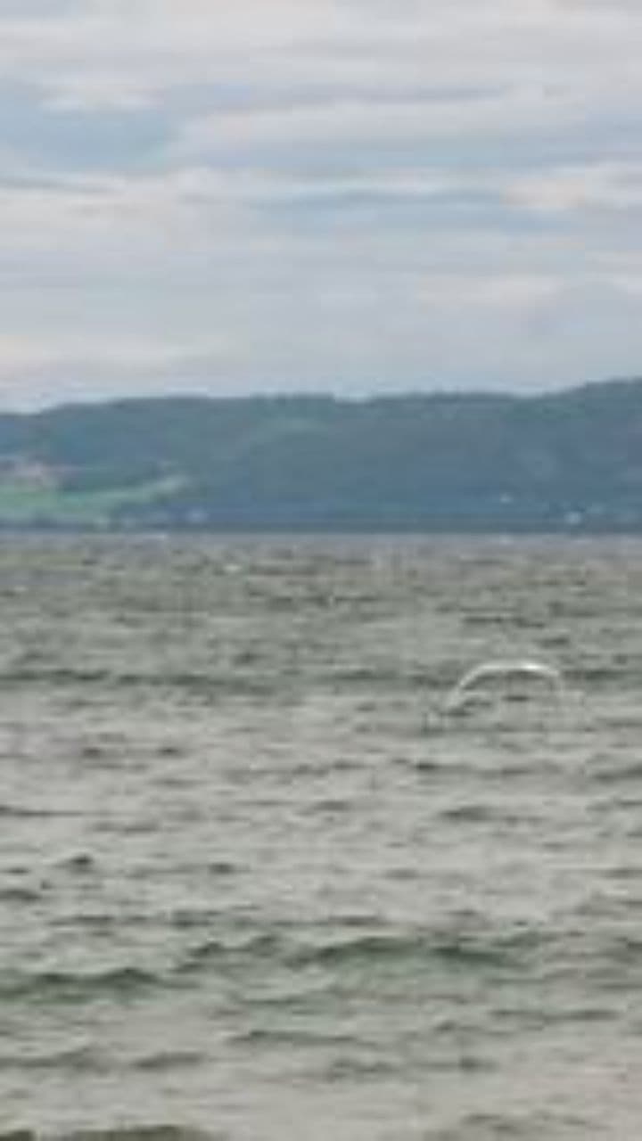 Pescari amatori pe mal de baltă