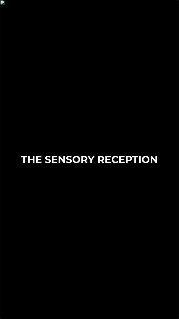 Understanding the Eye and Vision