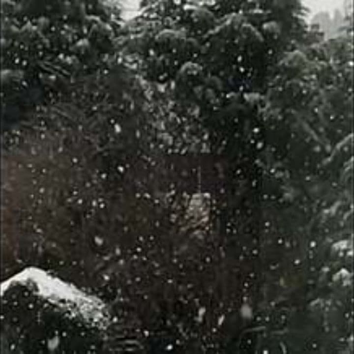 Merry Christmas and Happy New Year